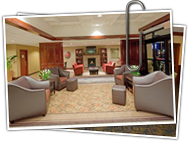 interior home carpet surface