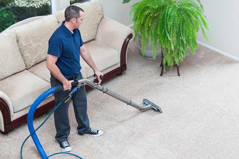 Carpet Cleaning Chichester